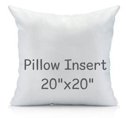 Pillow Insert - 20